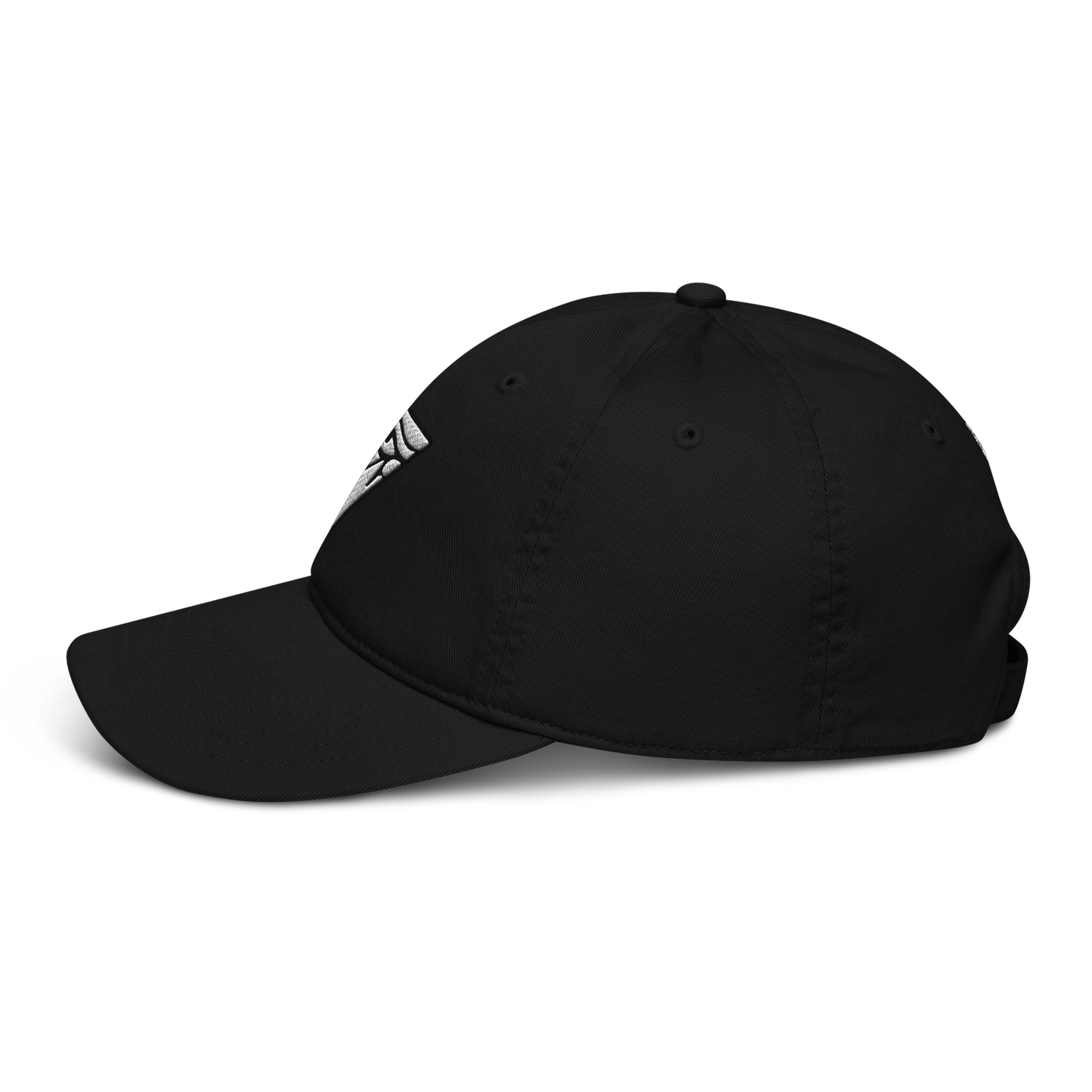 Eye Eco Hat